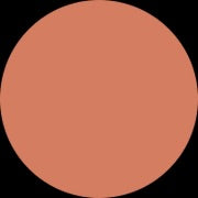 Barenbliss Liptint