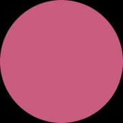 Barenbliss Liptint